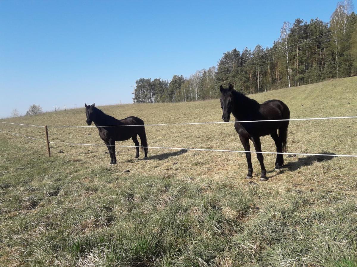 Apartamenty Lubiewo Mikołajki Εξωτερικό φωτογραφία